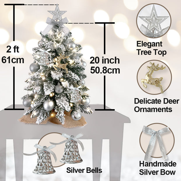 2ft Mini Christmas Tree with Light Artificial Small Tabletop Christmas Decoration with Flocked Snow - Seasonal Spectra