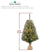 3ft Linen Base PVC Material Green Flocking 118 Branches 100 Lights Warm Color 8 Mode Battery Switch Christmas Tree - Seasonal Spectra