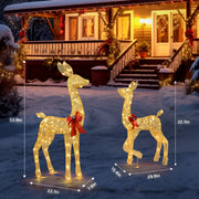 2-Piece Lighted Christmas Deer Family, Outdoor Yard Decoration Set with 210 LEDs Warm White Light, Gold - Seasonal Spectra