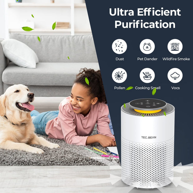 Air Purifiers for Bedroom with H13 True HEPA Air Filter - Seasonal Spectra