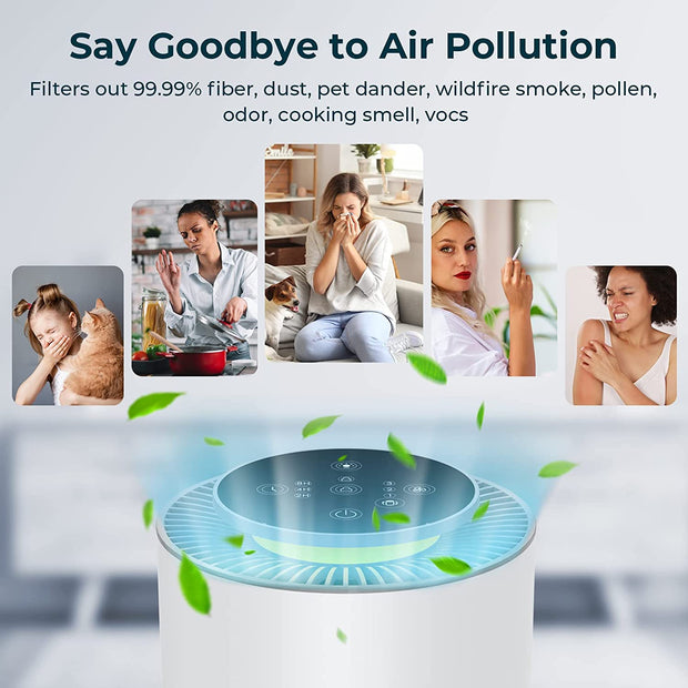 Air Purifiers for Bedroom with H13 True HEPA Air Filter - Seasonal Spectra