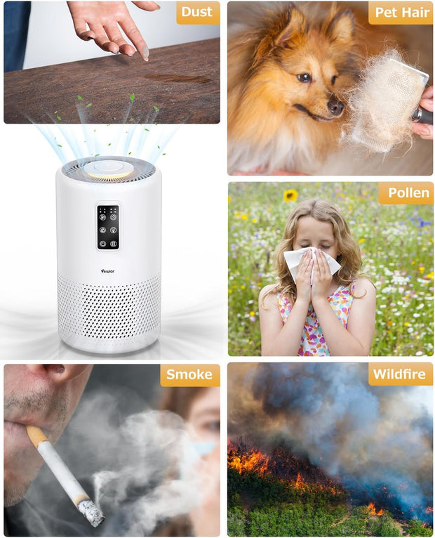 Air Purifiers for Home Large Room with Night Light up to 1076ft² - Seasonal Spectra