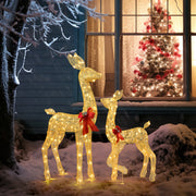 2-Piece Lighted Christmas Deer Family, Outdoor Yard Decoration Set with 210 LEDs Warm White Light, Gold - Seasonal Spectra