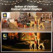 2-Piece Lighted Christmas Deer Family, Outdoor Yard Decoration Set with 210 LEDs Warm White Light, Gold - Seasonal Spectra